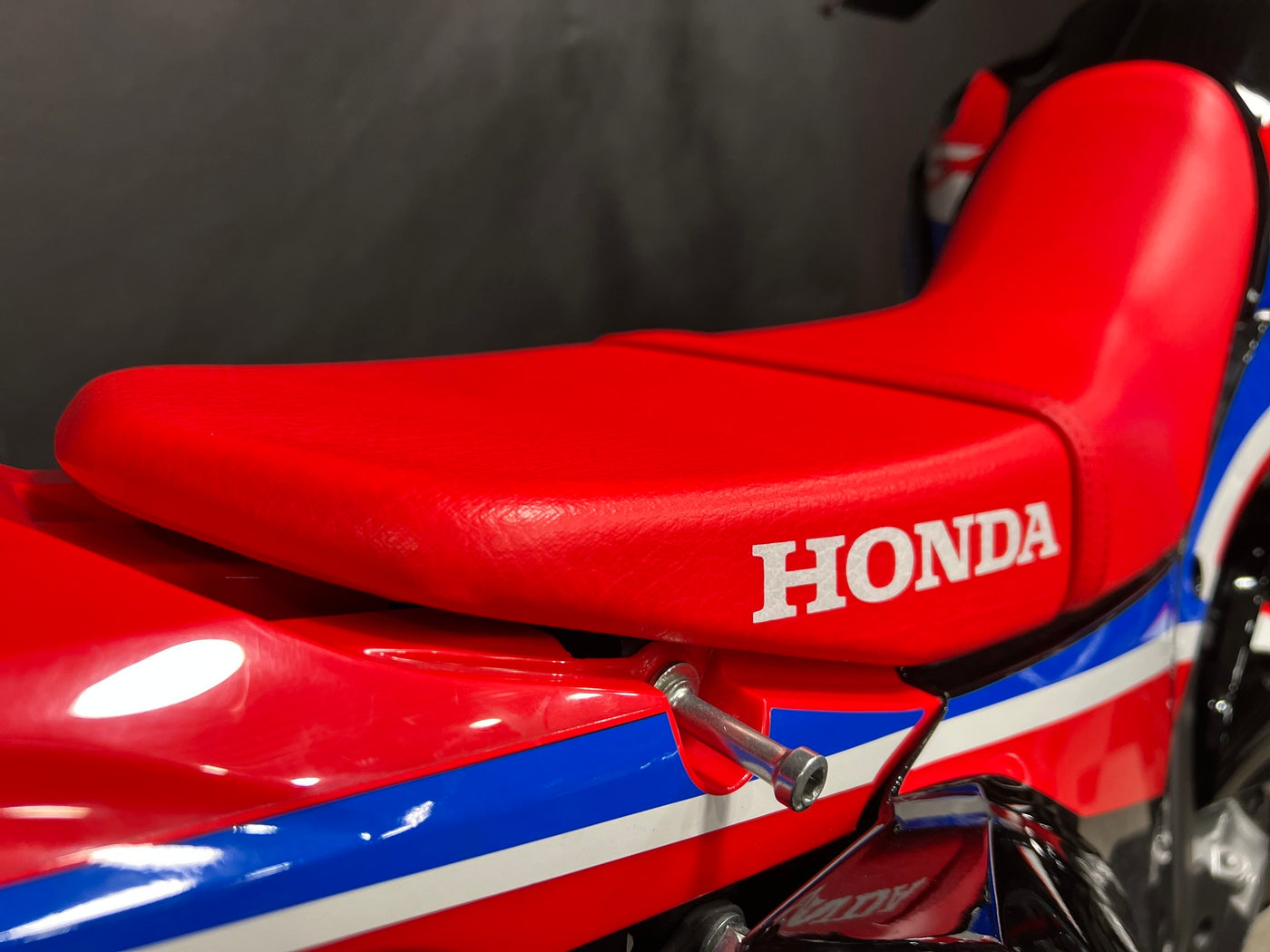 2024 Honda CRF300L Rally